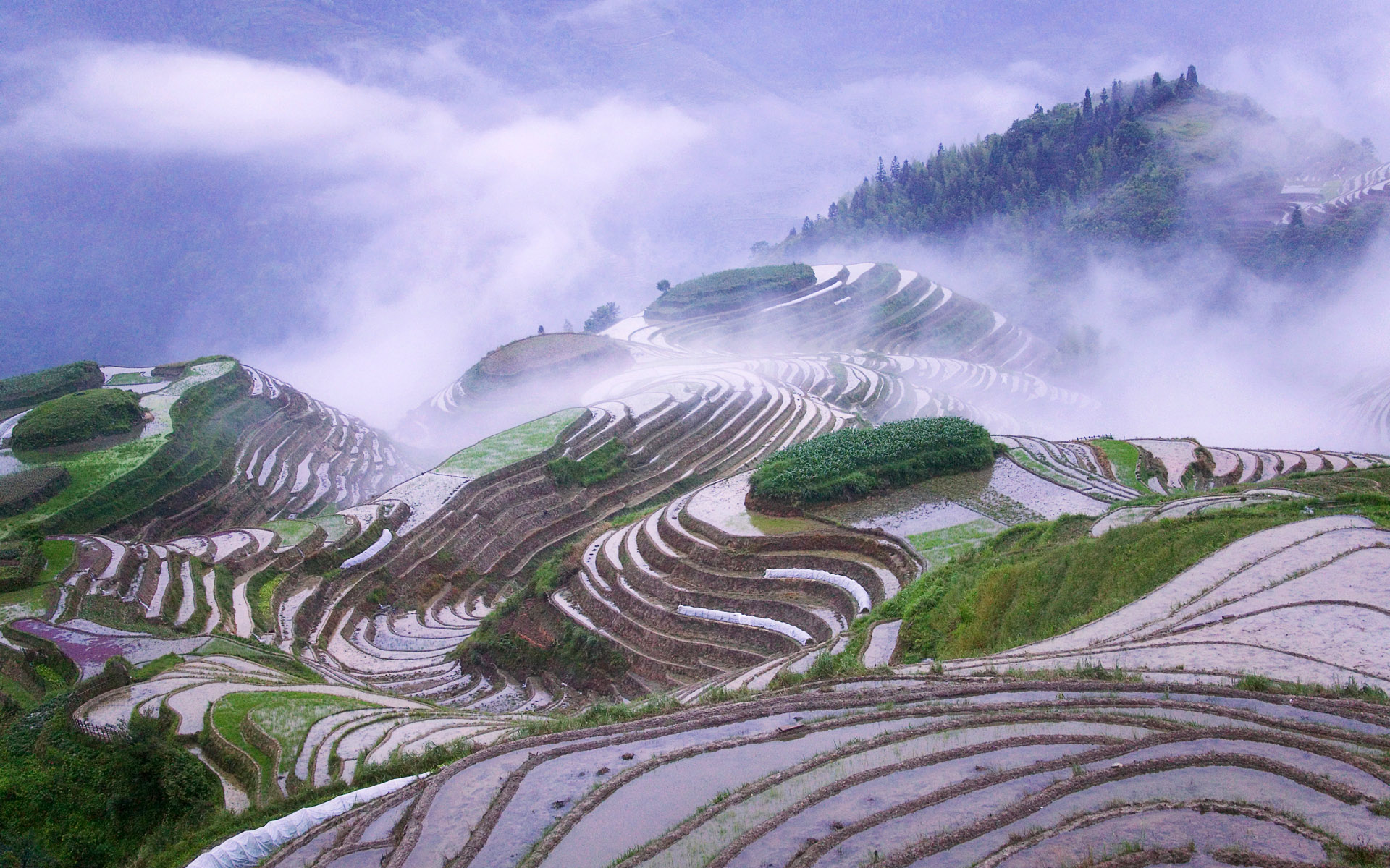网红商城